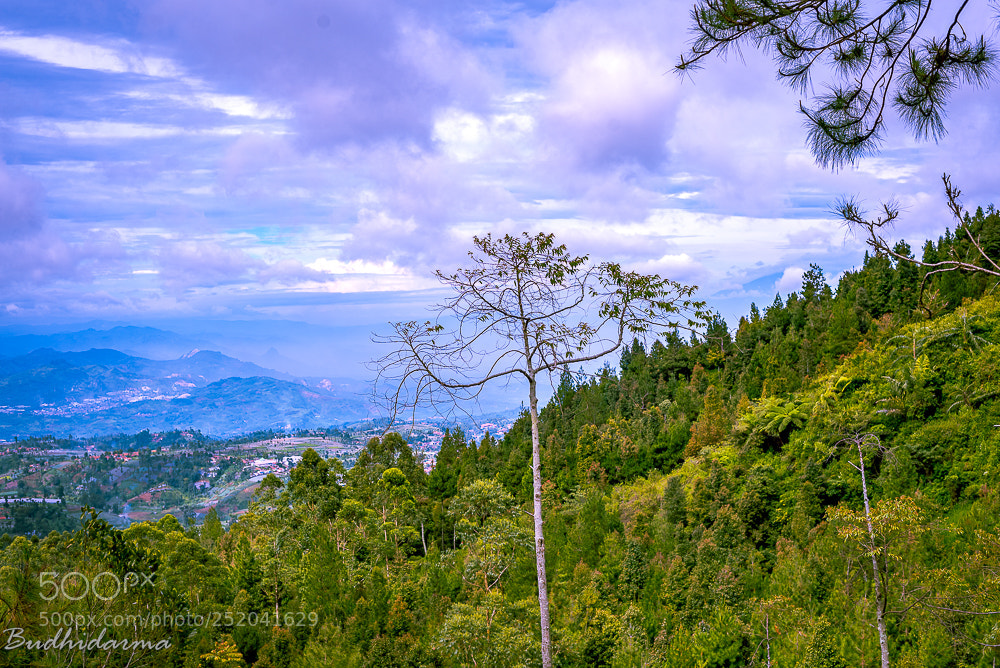 Nikon D610 sample photo. Burangrang photography