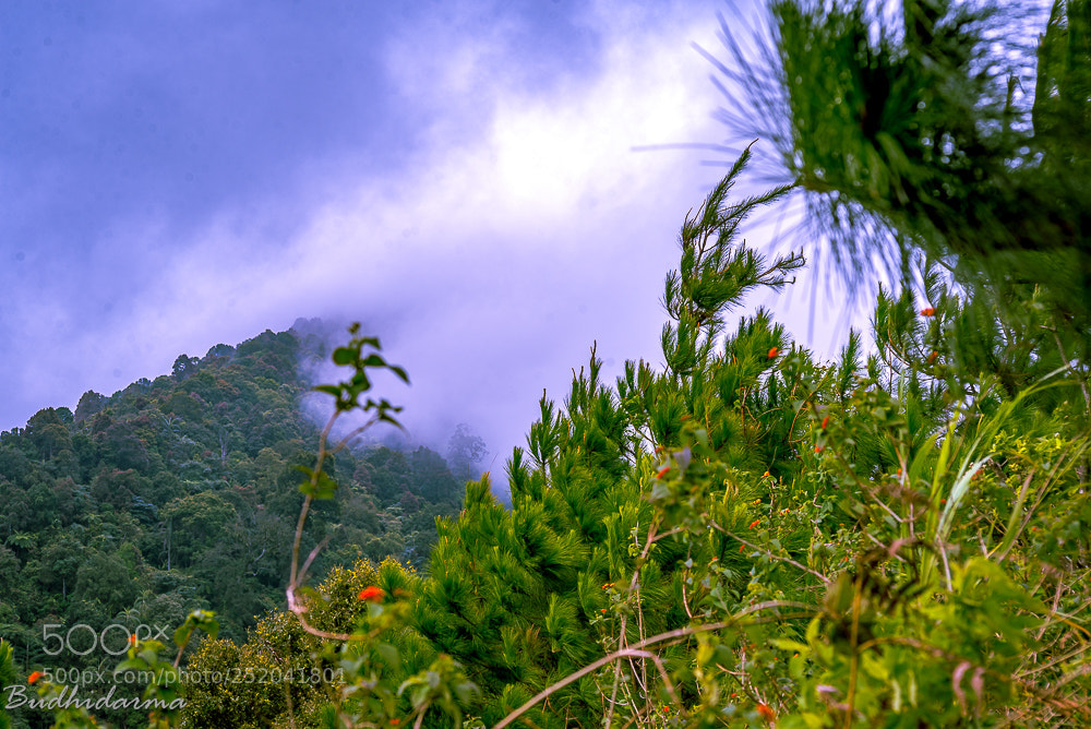 Nikon D610 sample photo. Burangrang photography