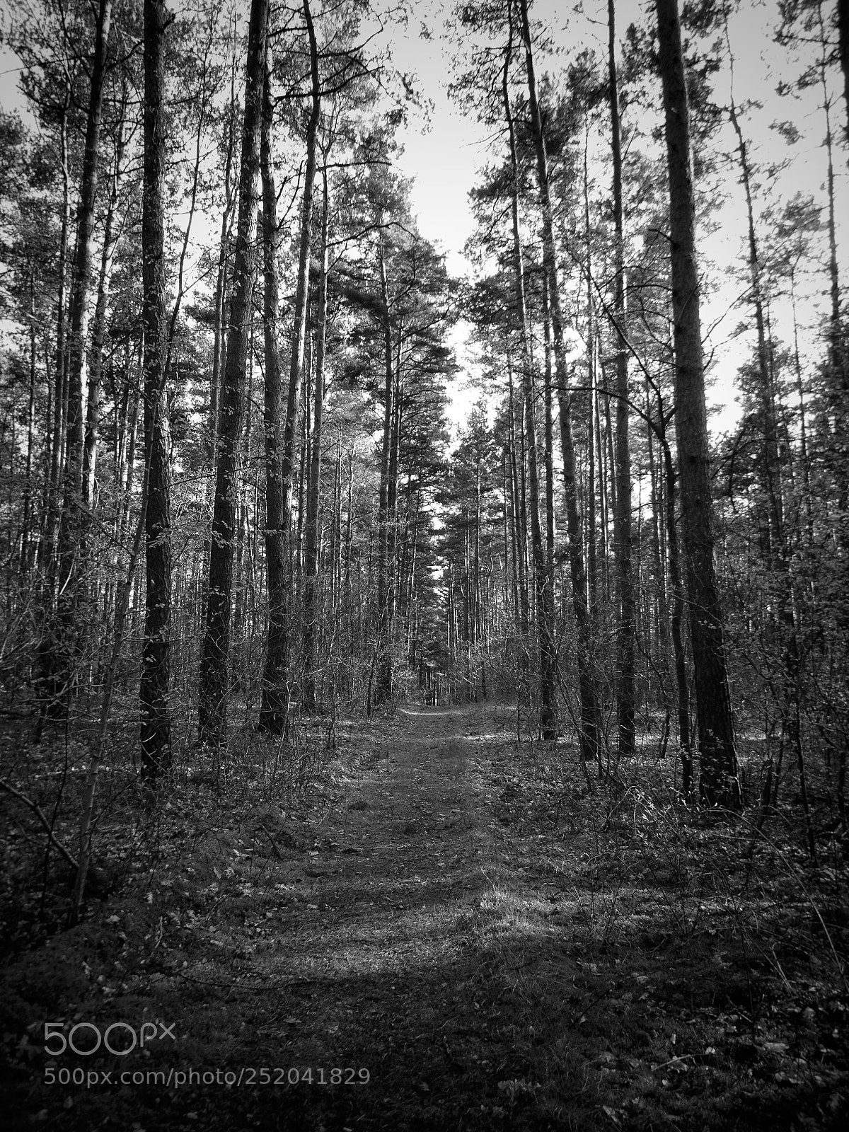 Sony Cyber-shot DSC-HX400V sample photo. Call before the storm photography