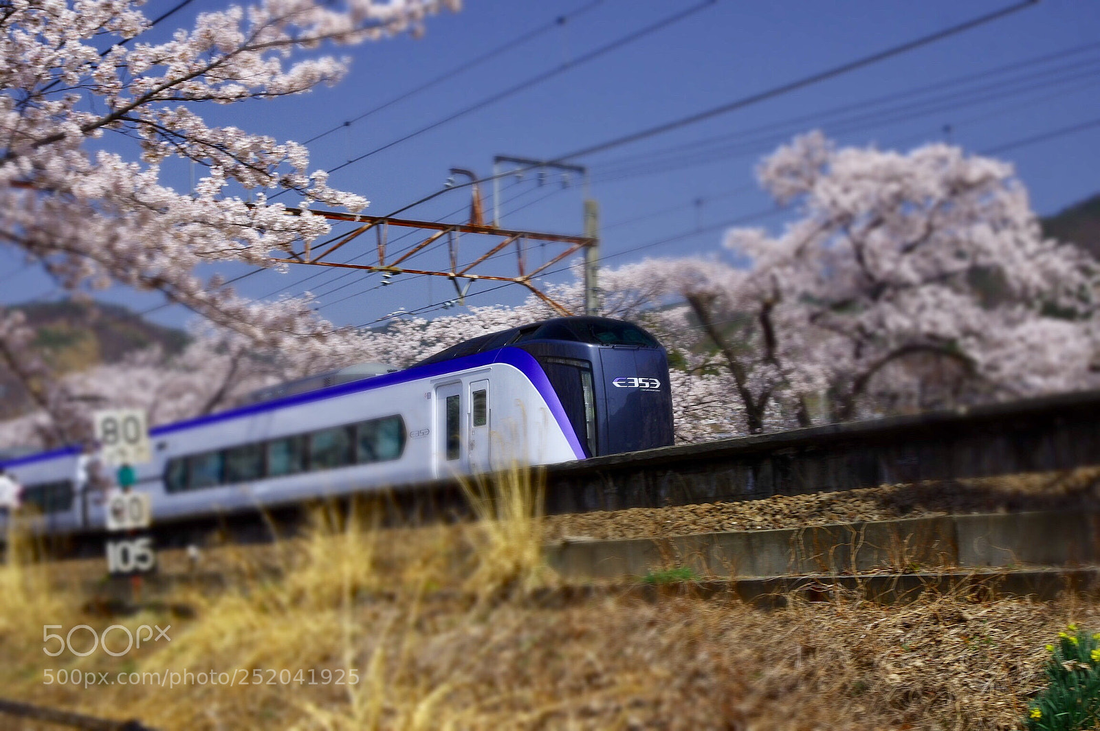Pentax K-3 II sample photo. Sakura express photography