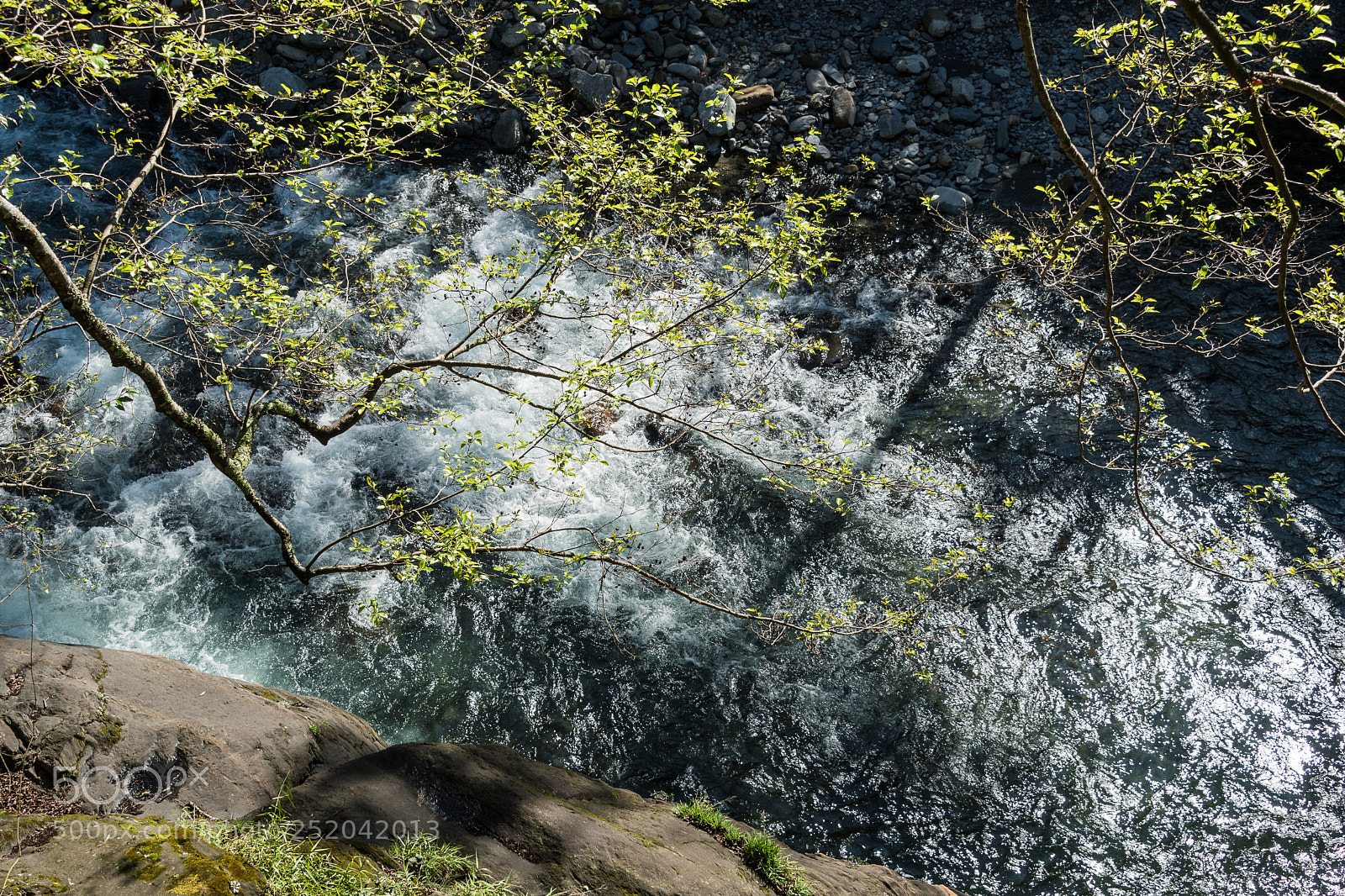Nikon D500 sample photo. Spring creek photography