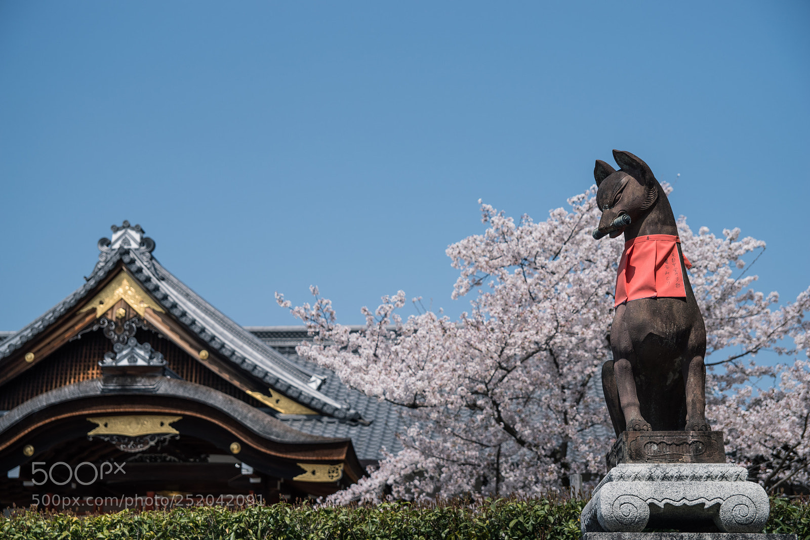 Pentax K-1 sample photo. Inari shrine photography