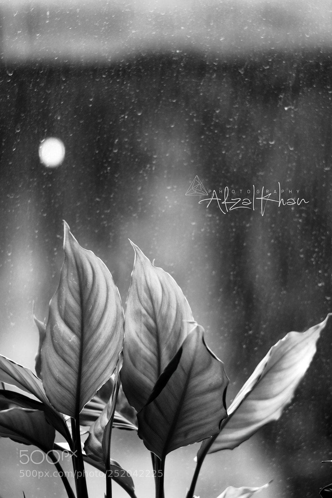 Sony SLT-A99V sample photo. Those rainy days... photography