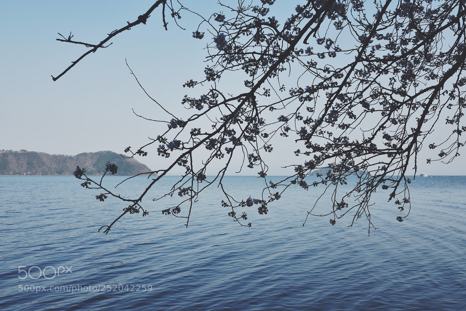 Nikon D810 sample photo. Untitled photography