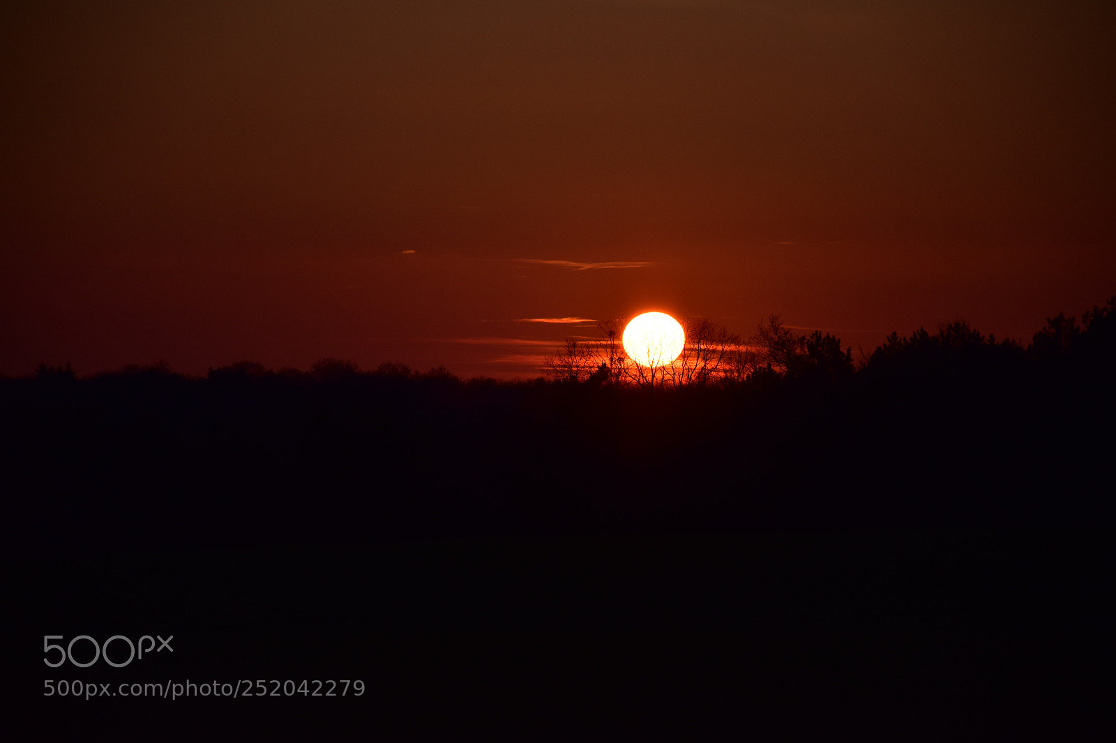 Nikon D5600 sample photo. Couch de soleil en photography
