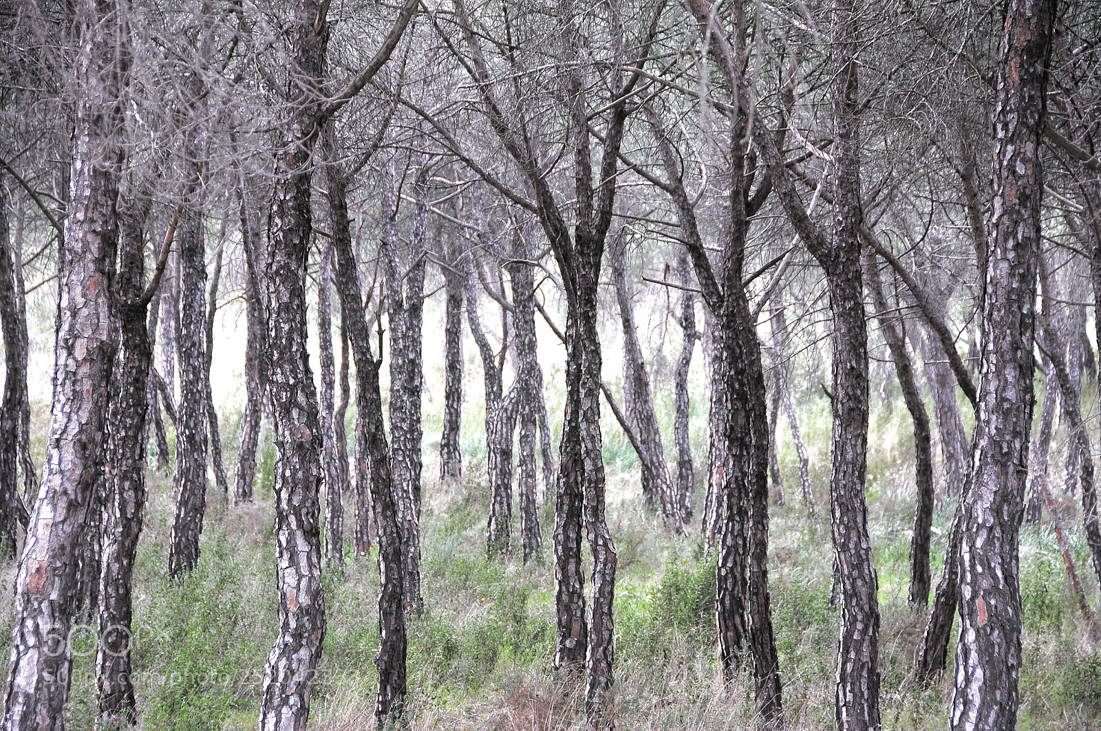 Nikon D300 sample photo. Untitled photography