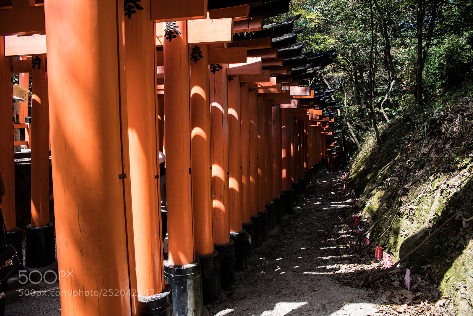 Pentax K-1 sample photo. Inari shrine photography