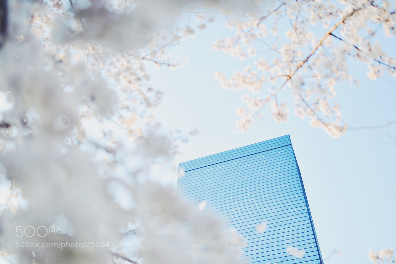 Nikon D810 sample photo. Untitled photography