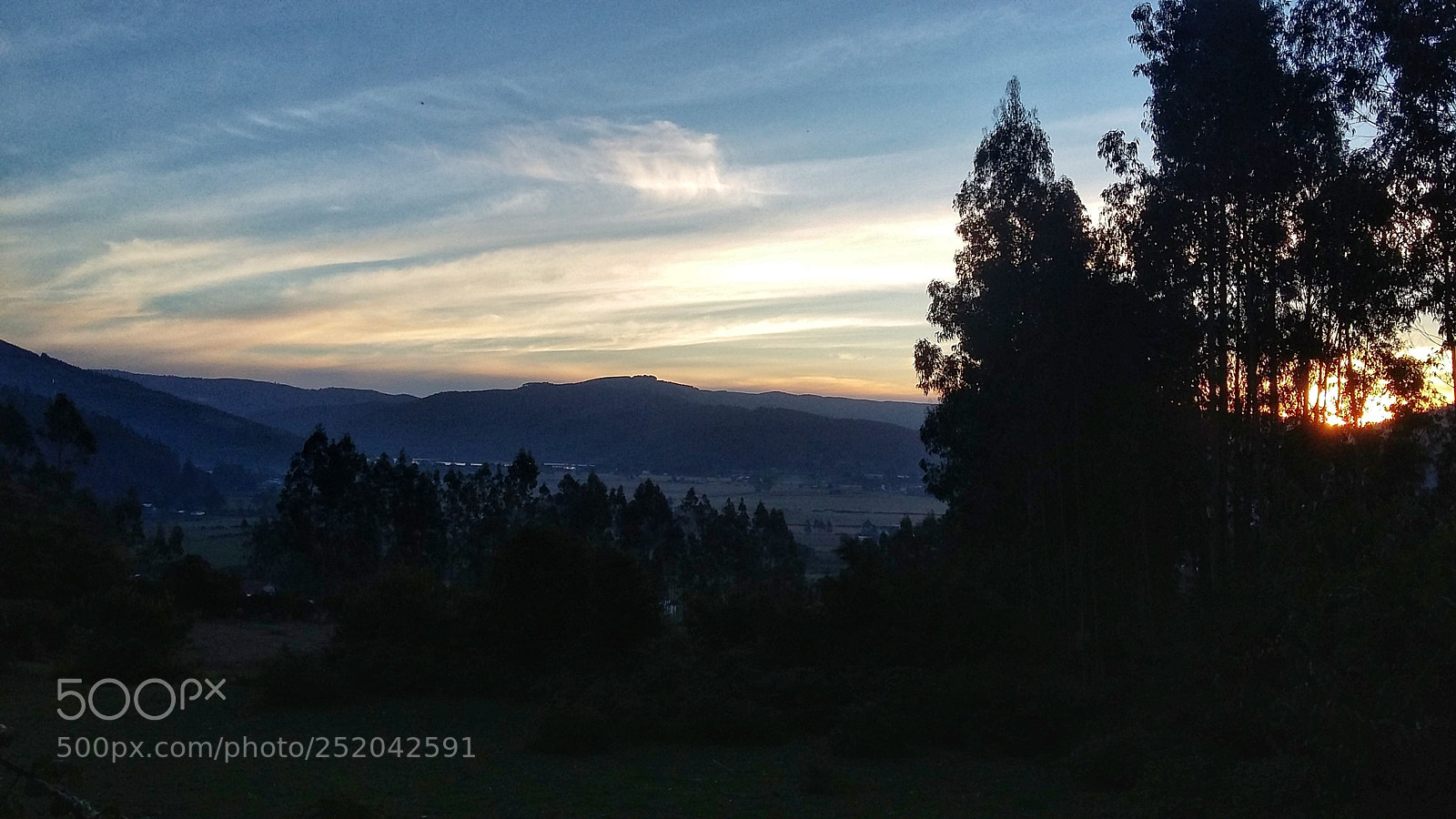 Samsung Galaxy Grand Prime sample photo. Escala de grises photography