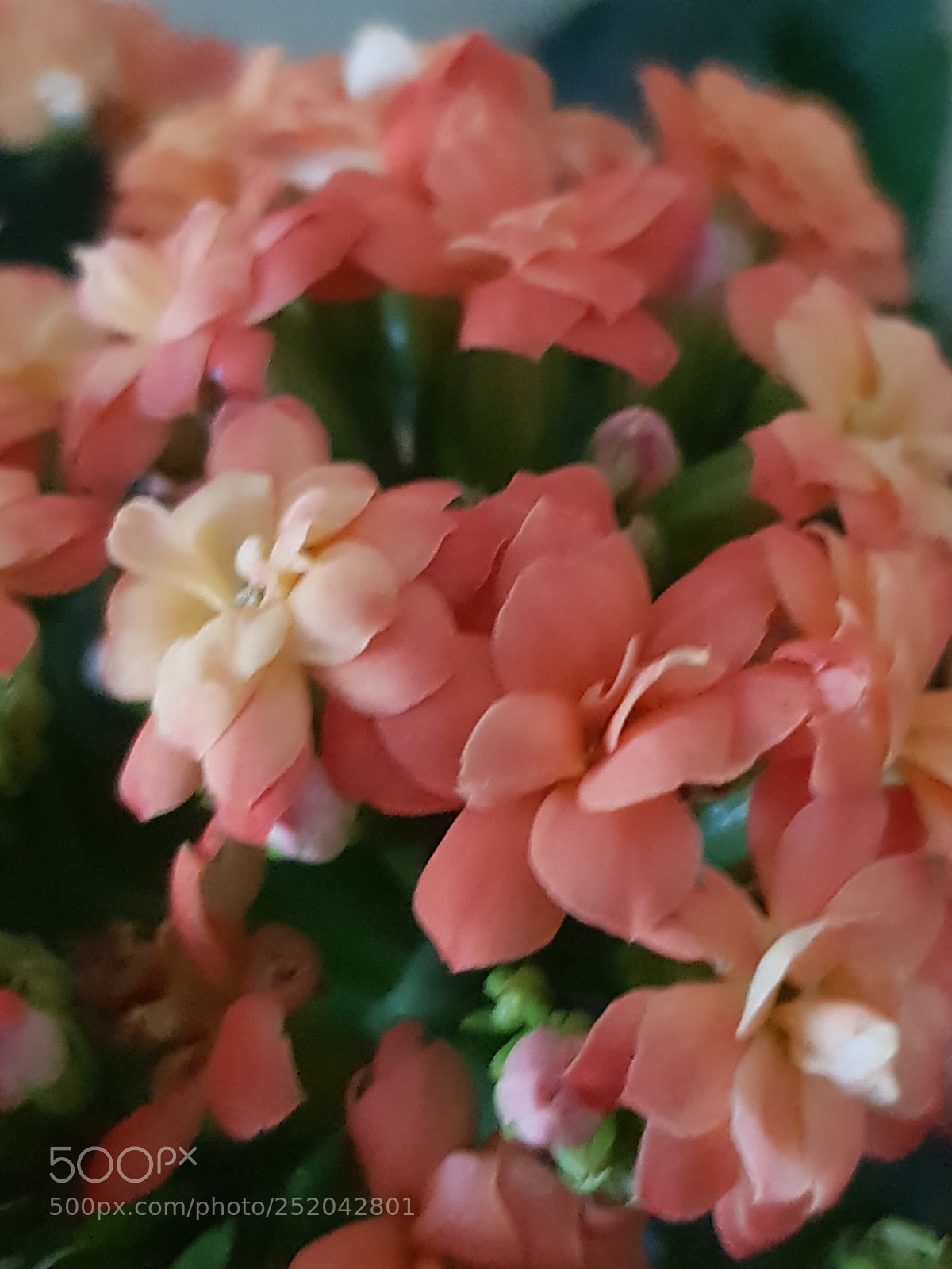 Samsung Galaxy S8 sample photo. Untitled photography
