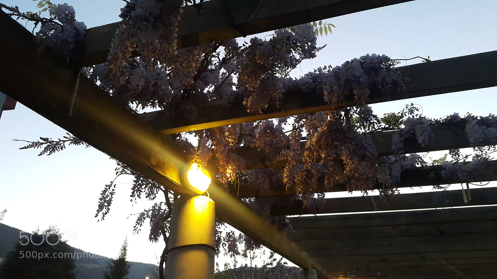 Samsung Galaxy Note4 sample photo. Akasyalar açarken photography