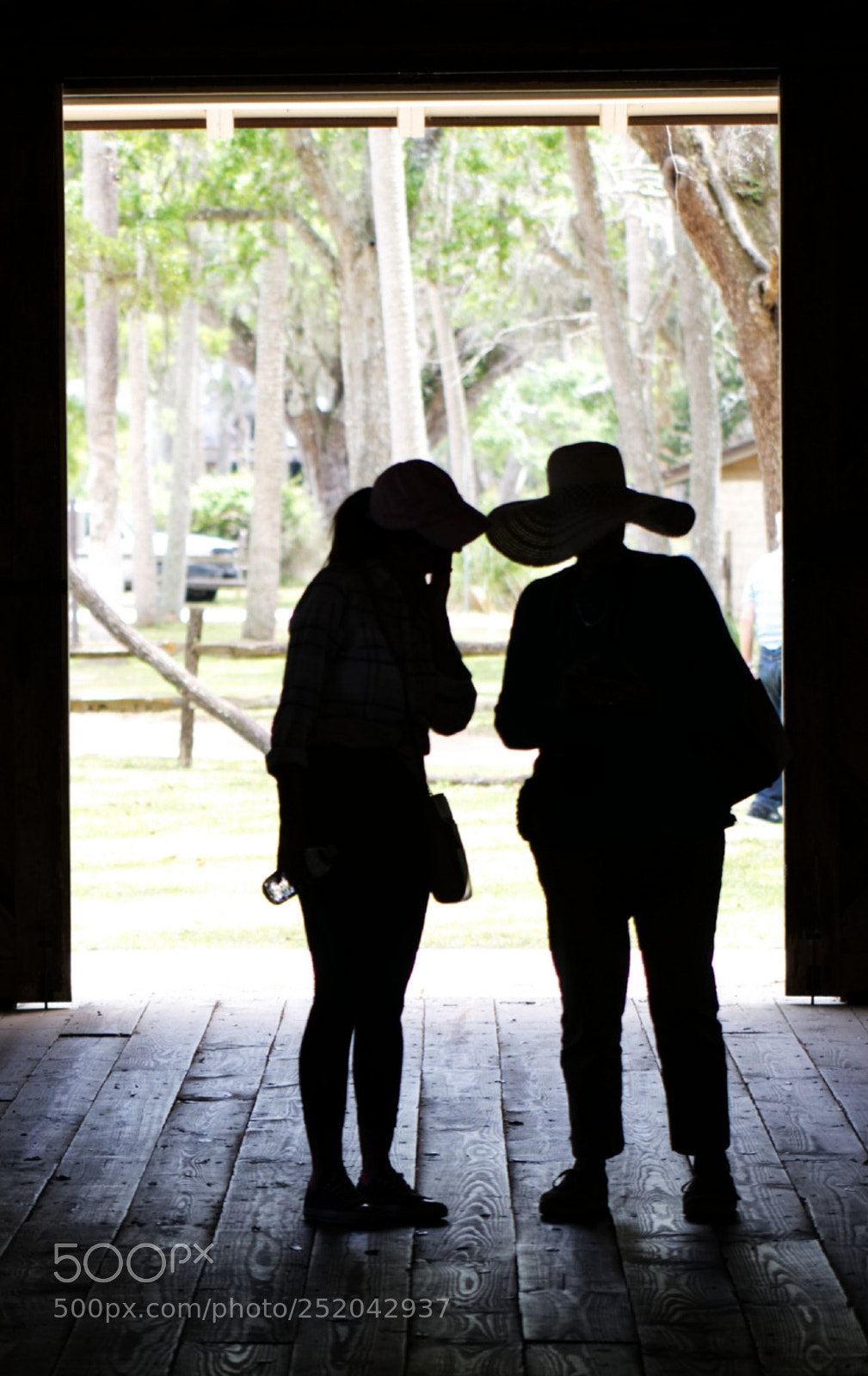 Nikon D810 sample photo. In the shade photography
