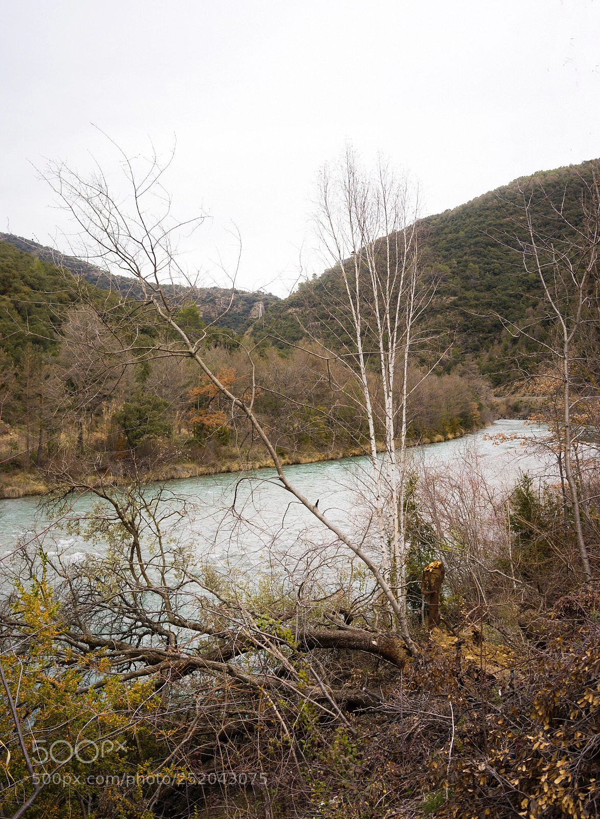 Sony a7 sample photo. Down to the river  photography