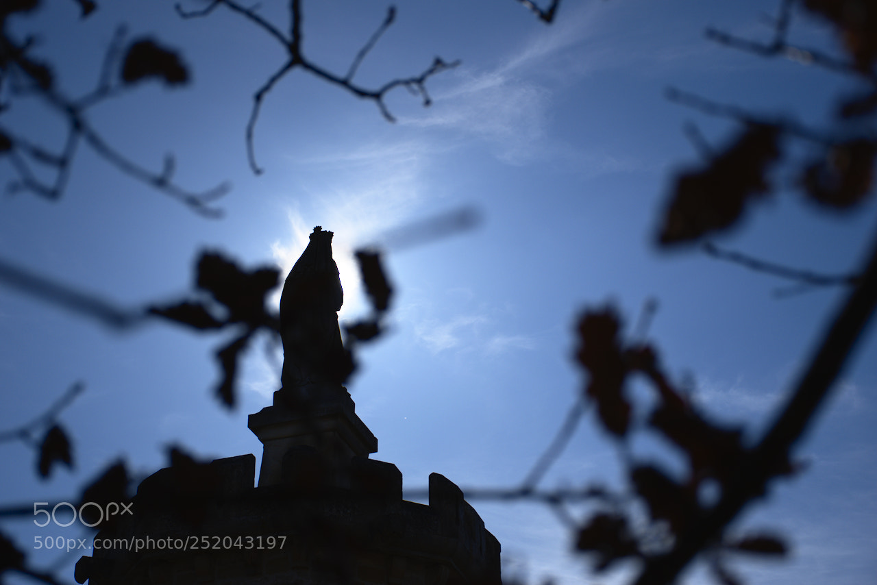 Nikon D5600 sample photo. La tour malakoff photography