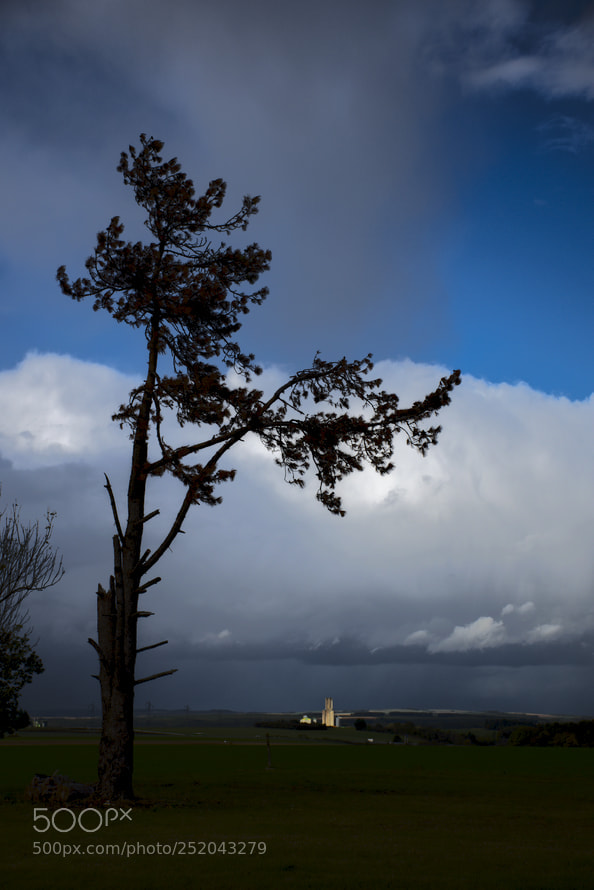 Nikon D5600 sample photo. Orage en vue photography