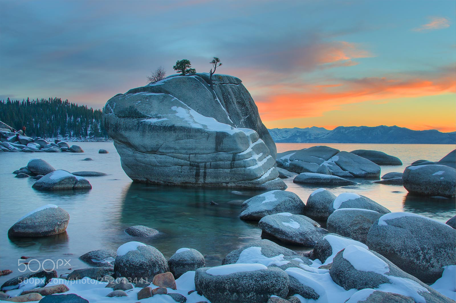 Nikon D5100 sample photo. Bonsai rock in the photography