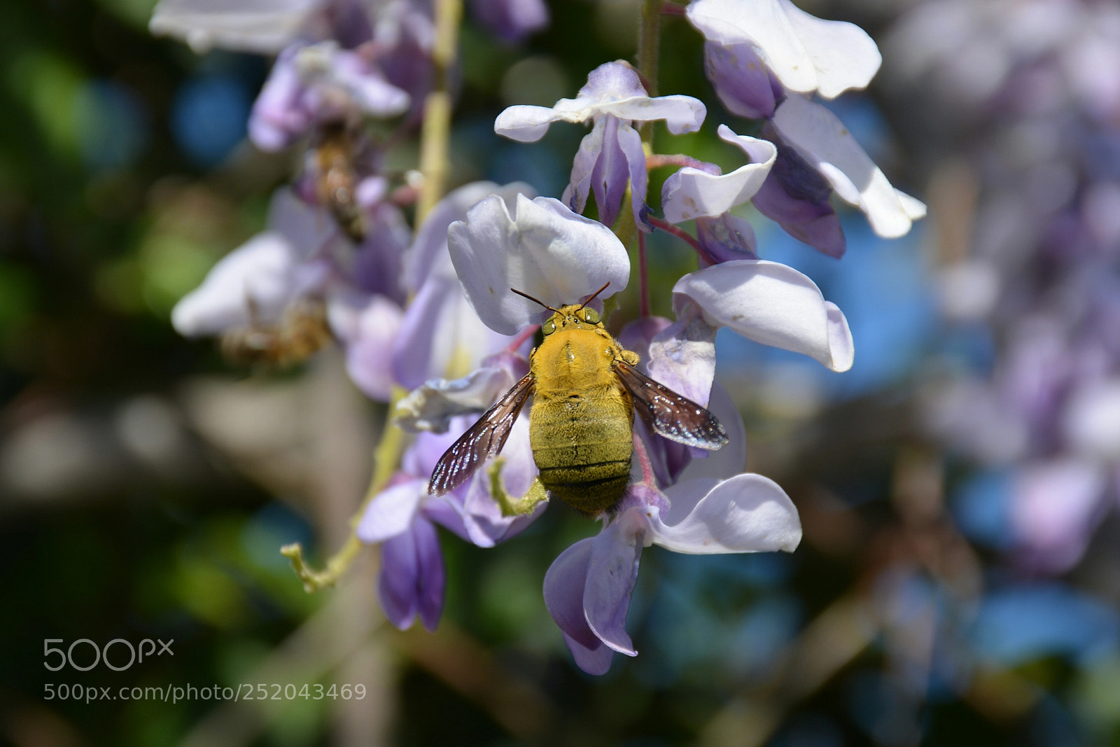 Nikon D5200 sample photo. Untitled photography
