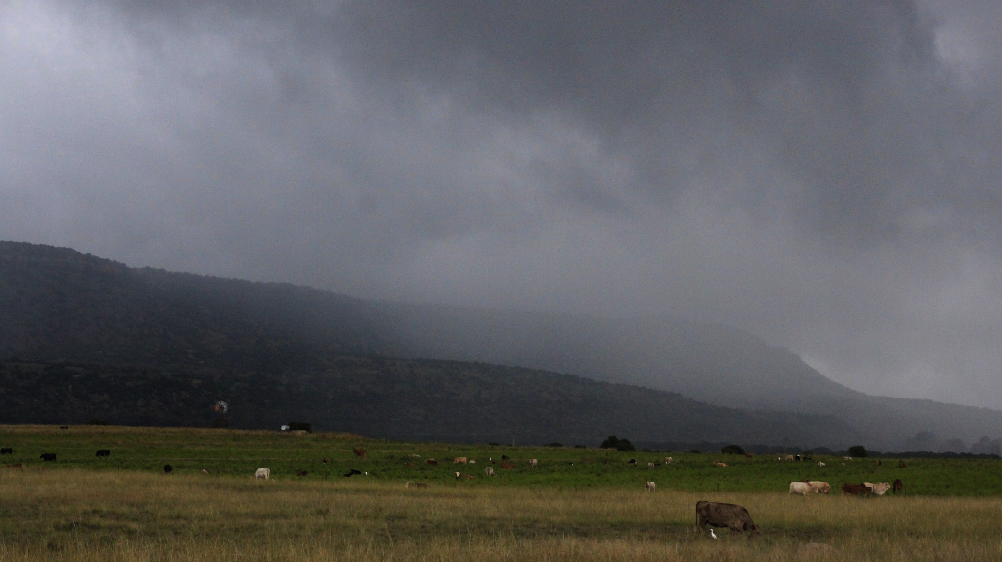 Canon EOS 500D (EOS Rebel T1i / EOS Kiss X3) + Canon EF 50mm F1.8 STM sample photo. The rain is coming photography