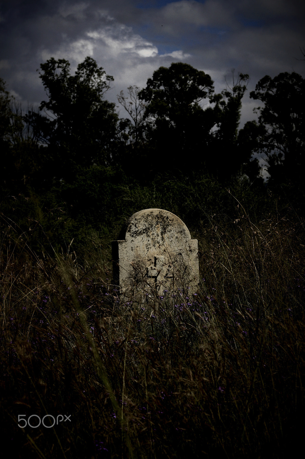 Canon EOS 500D (EOS Rebel T1i / EOS Kiss X3) + Canon EF 50mm F1.8 STM sample photo. Neglected tomb photography