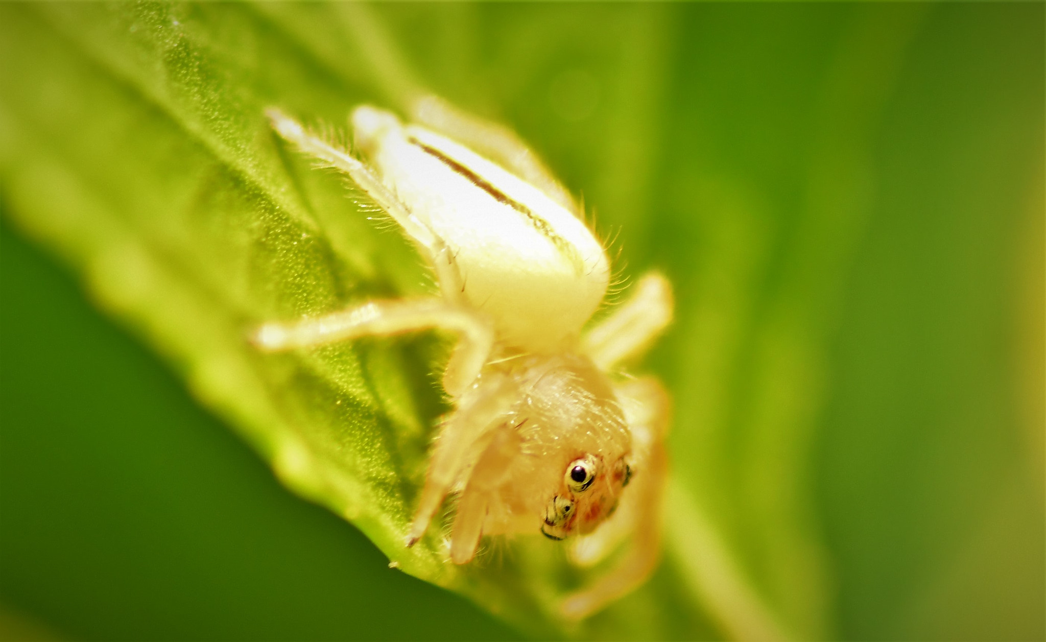 Nikon D7500 sample photo. Eyes of focus photography