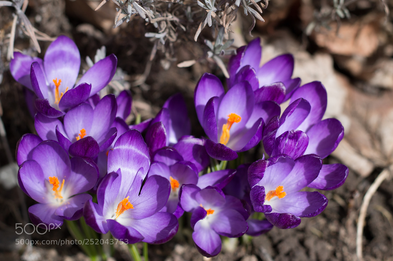 Canon EOS 70D sample photo. Soaking up the sunlight photography