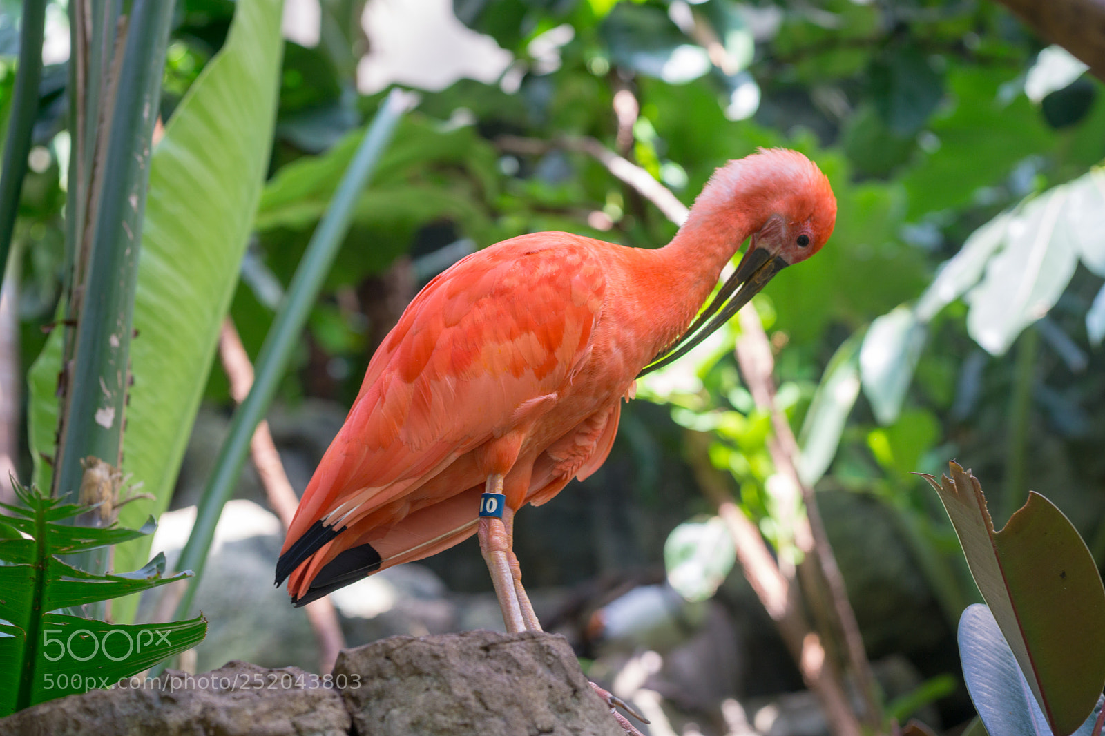 Sony a6000 sample photo. Central park zoo photography