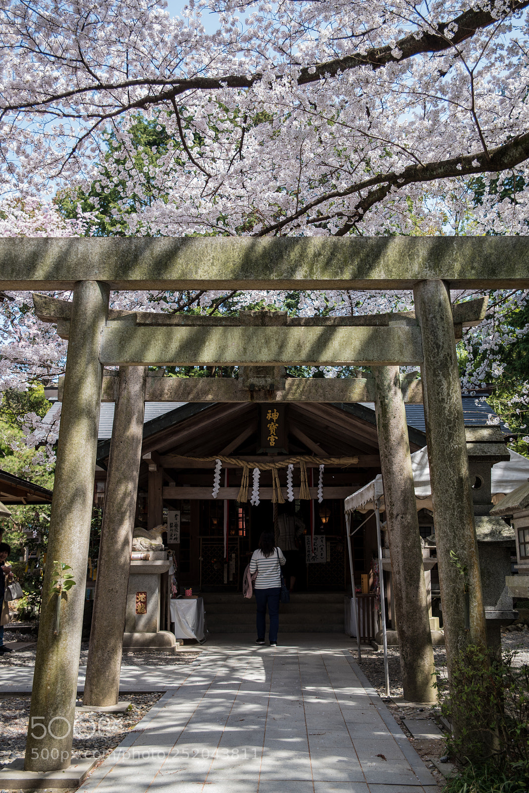 Pentax K-1 sample photo. Pray photography