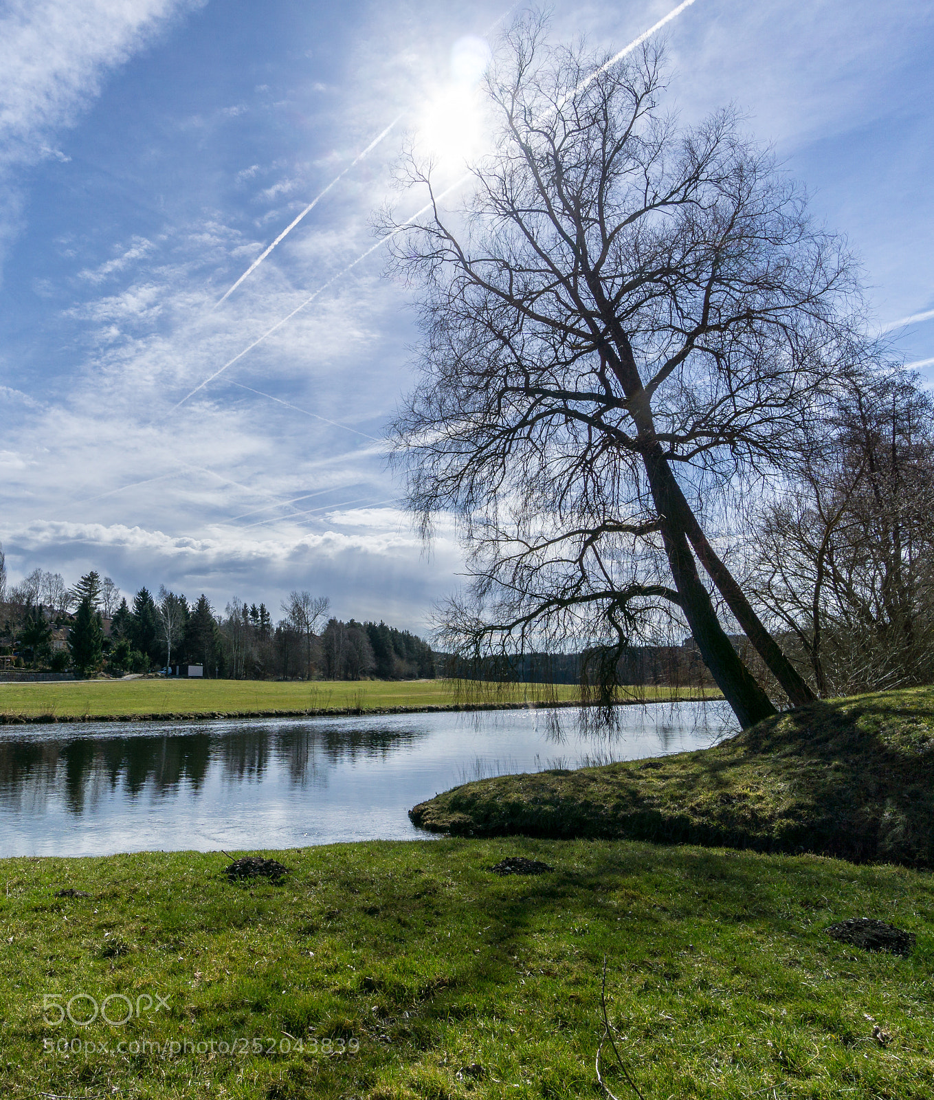 Sony a6000 sample photo. Frühling - spring photography