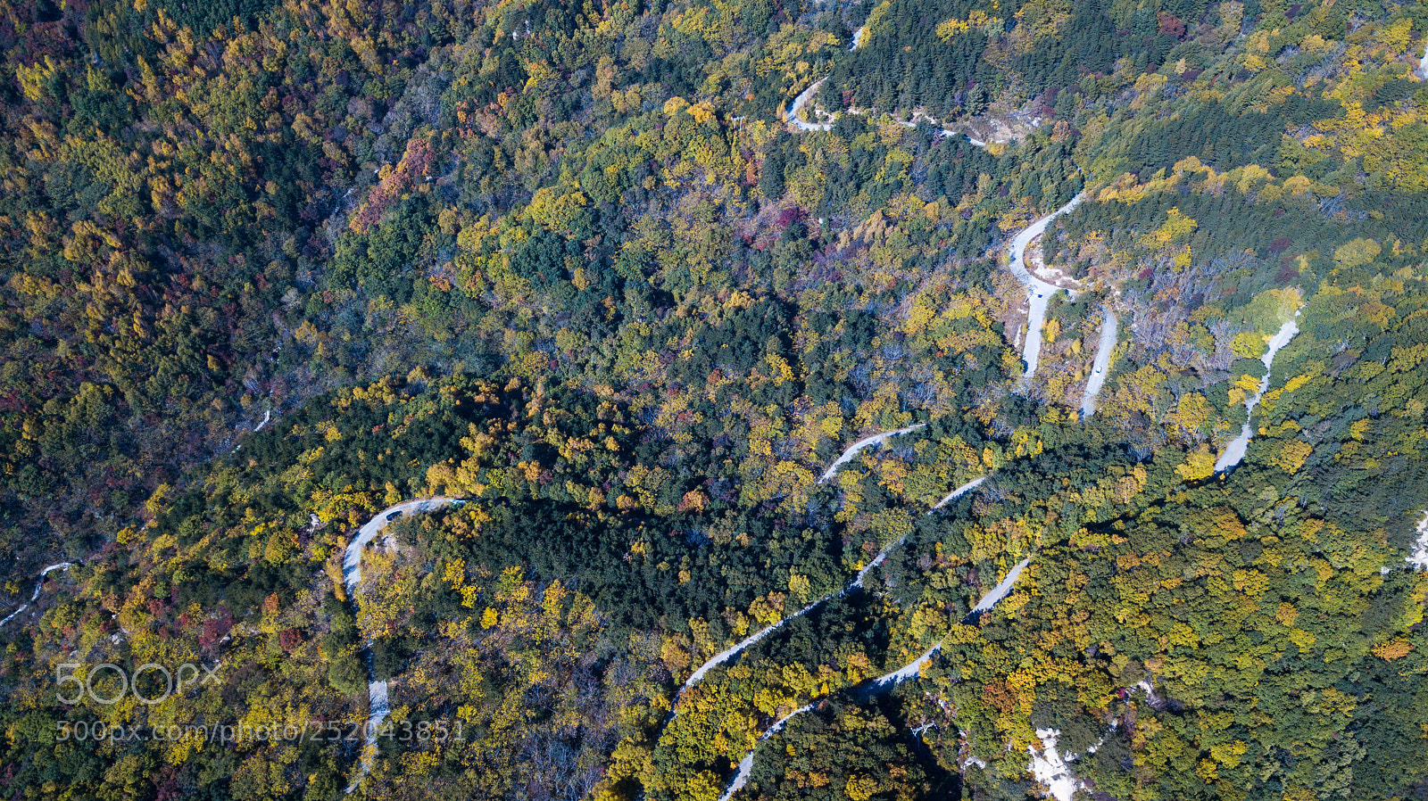 DJI FC220 sample photo. Autumn mountains photography