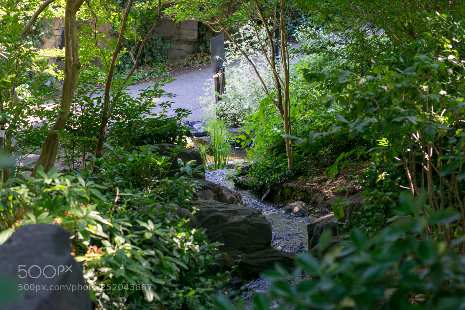Sony a6000 sample photo. Central park zoo photography