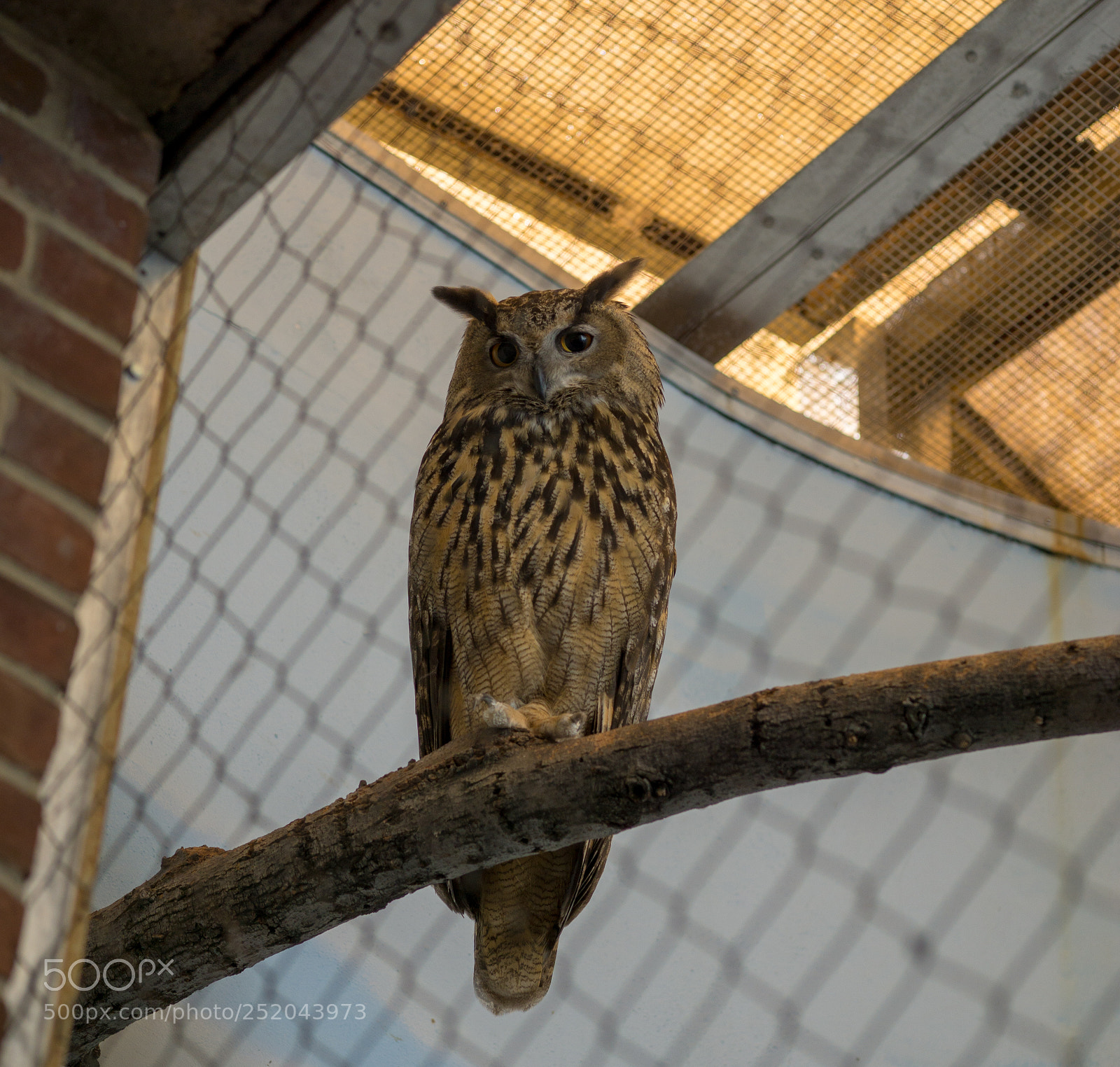 Sony a6000 sample photo. Central park zoo photography