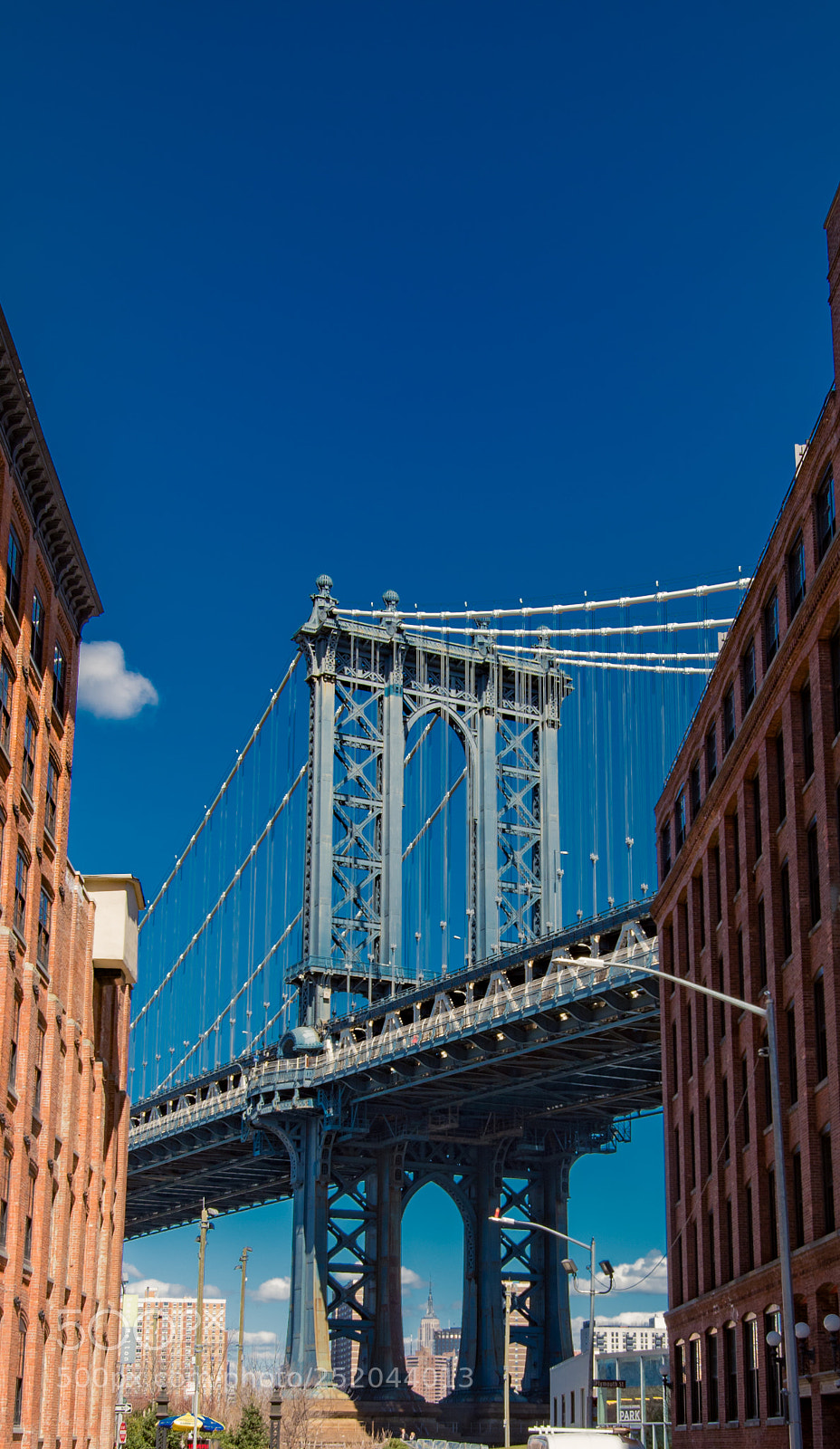 Nikon D5600 sample photo. Dumbo photography