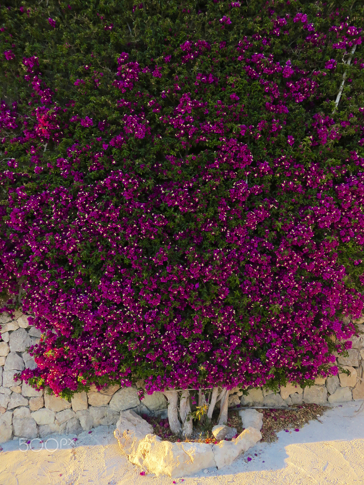 Canon PowerShot SX700 HS sample photo. Img photography