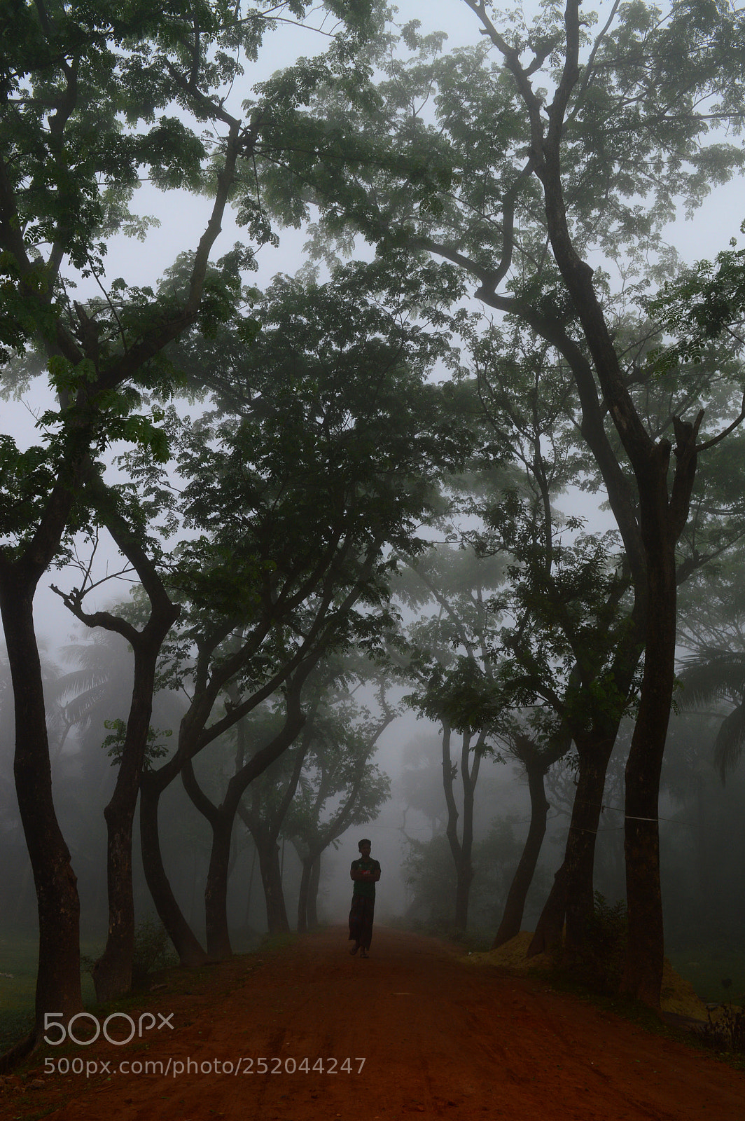 Nikon D3200 sample photo. The mystic man photography