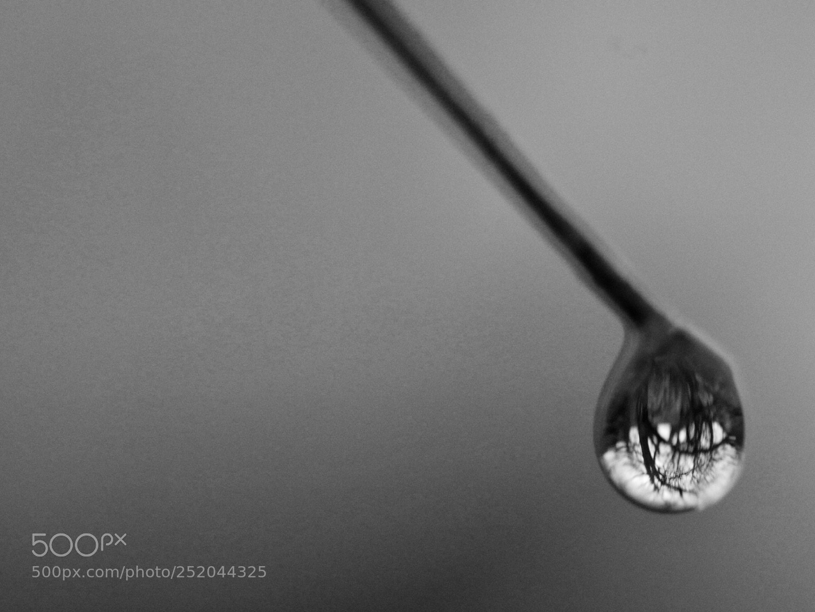 Panasonic Lumix DMC-GX85 (Lumix DMC-GX80 / Lumix DMC-GX7 Mark II) sample photo. A drop photography