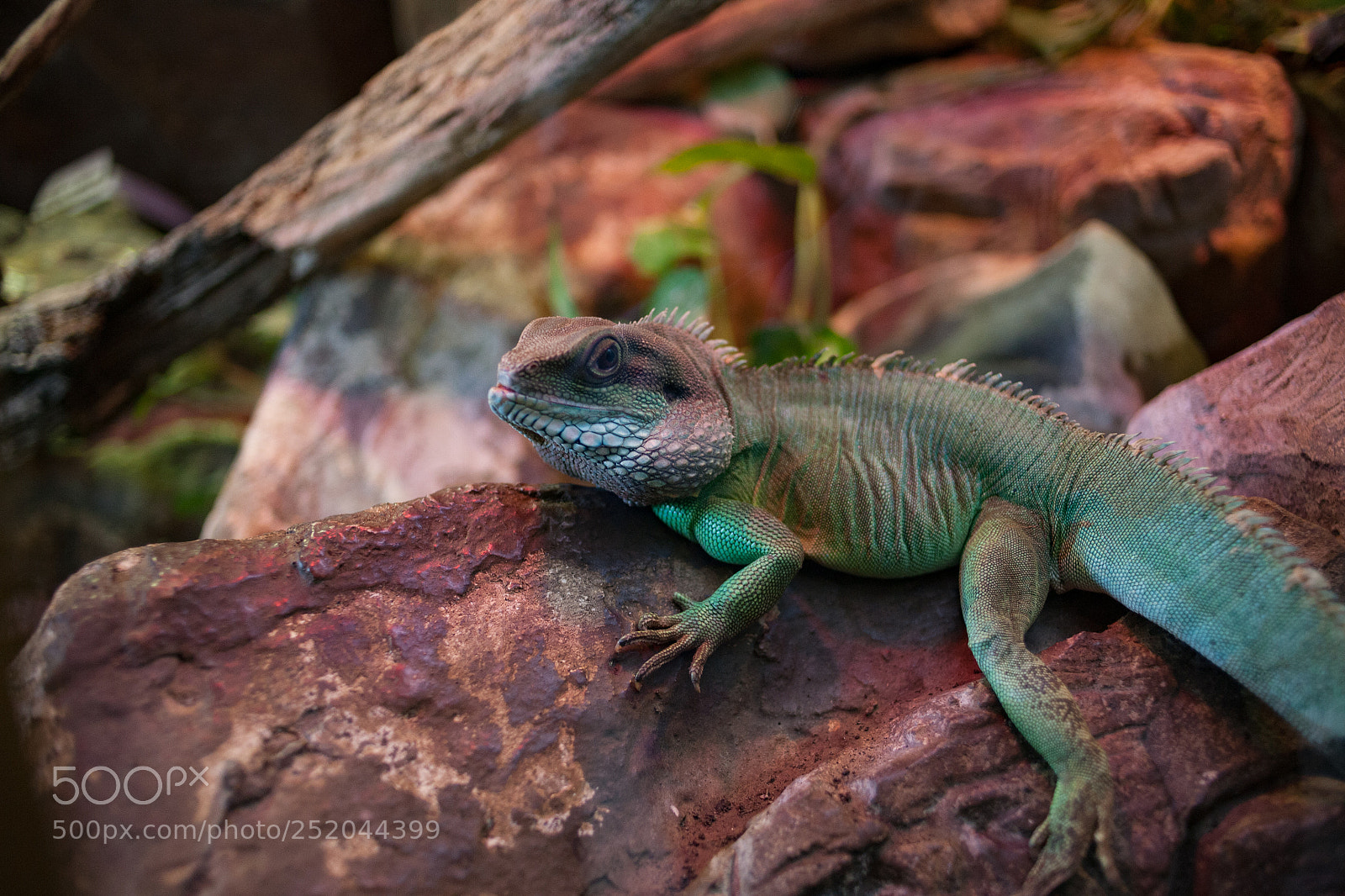 Canon EOS 5D sample photo. I am watching you photography