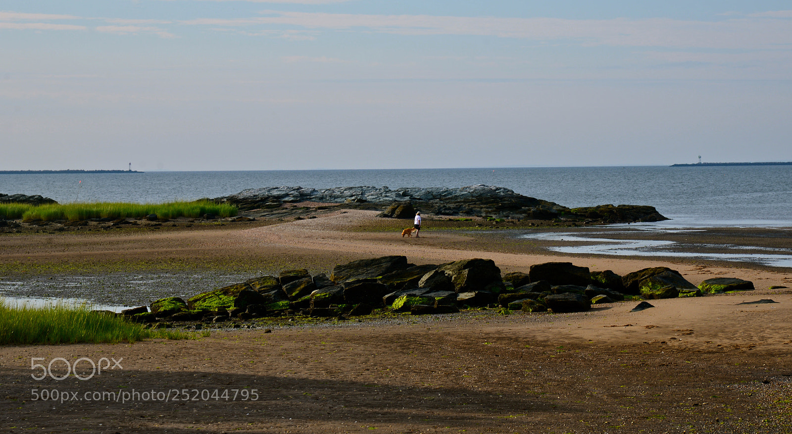 Nikon D600 sample photo. Quiet walk photography