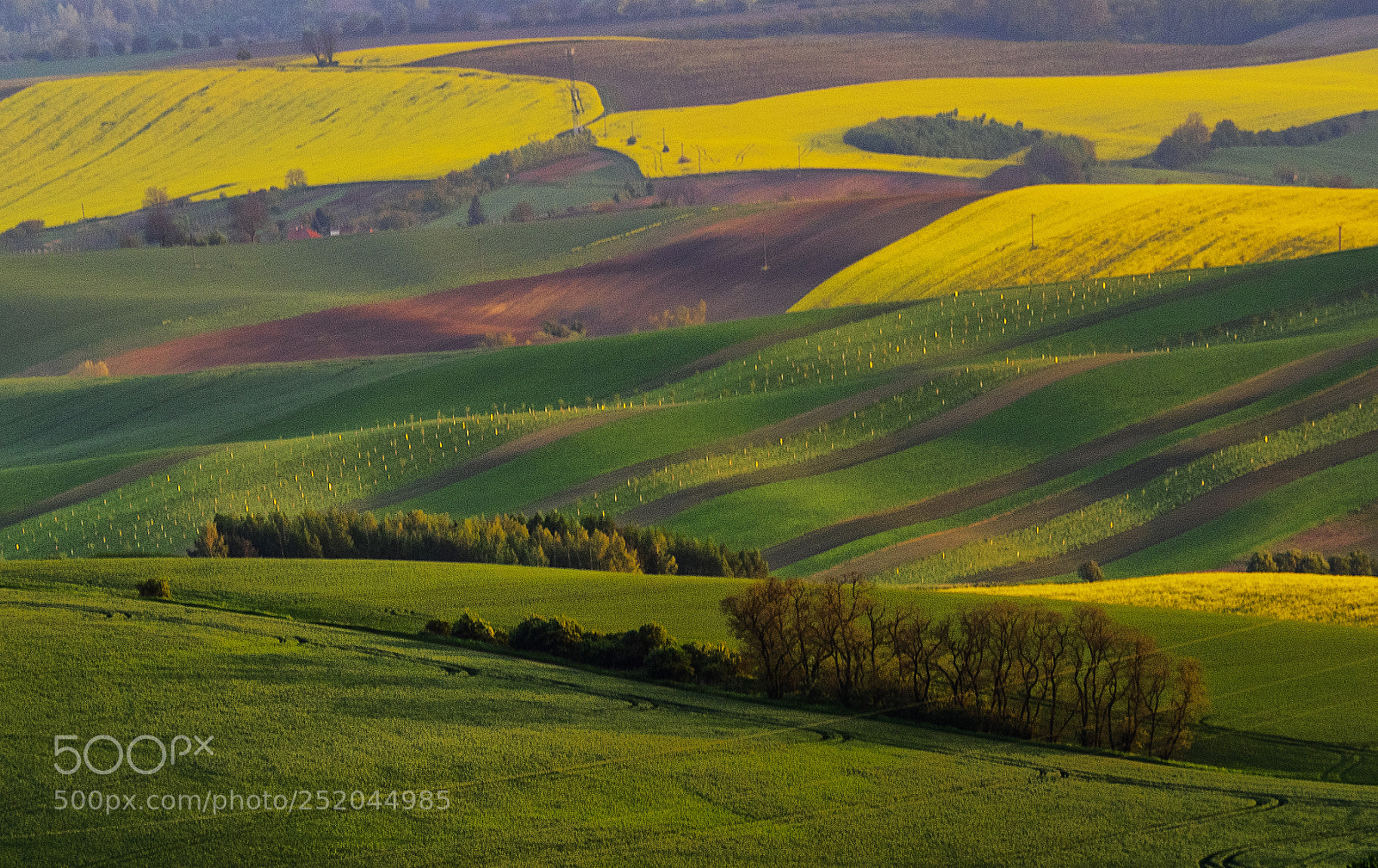 Olympus OM-D E-M1 sample photo. Moravia fields photography