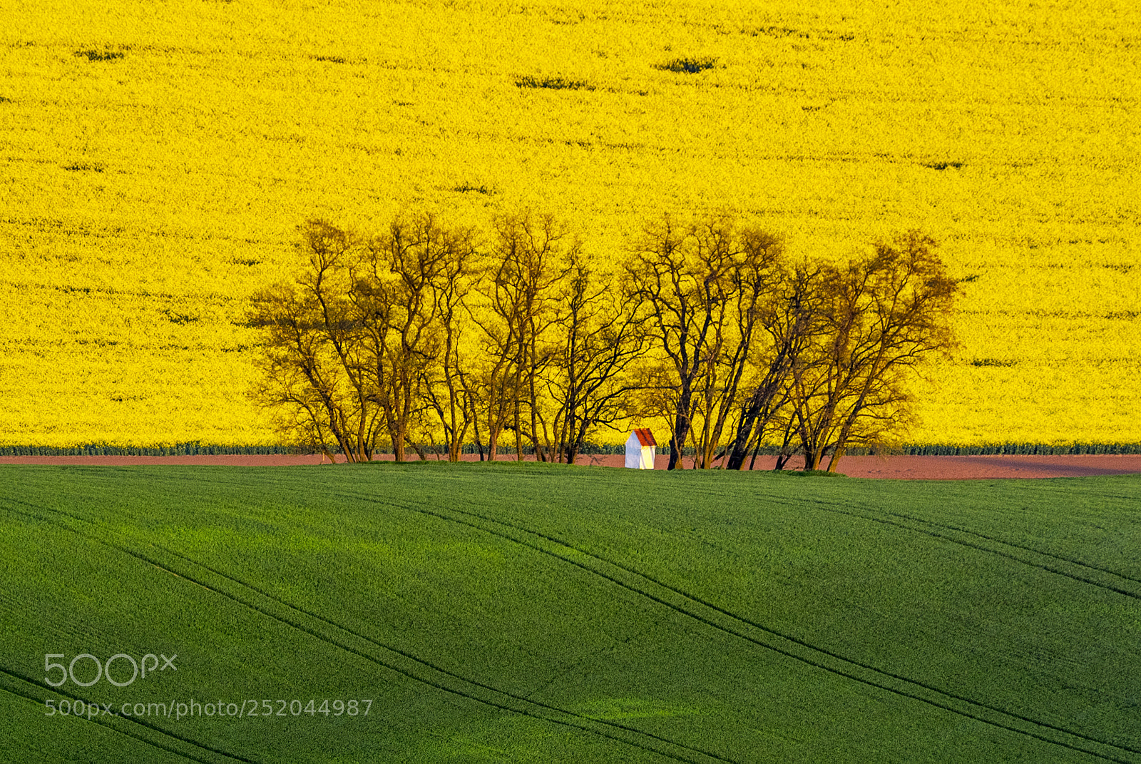 Olympus OM-D E-M1 sample photo. Moravia fields photography