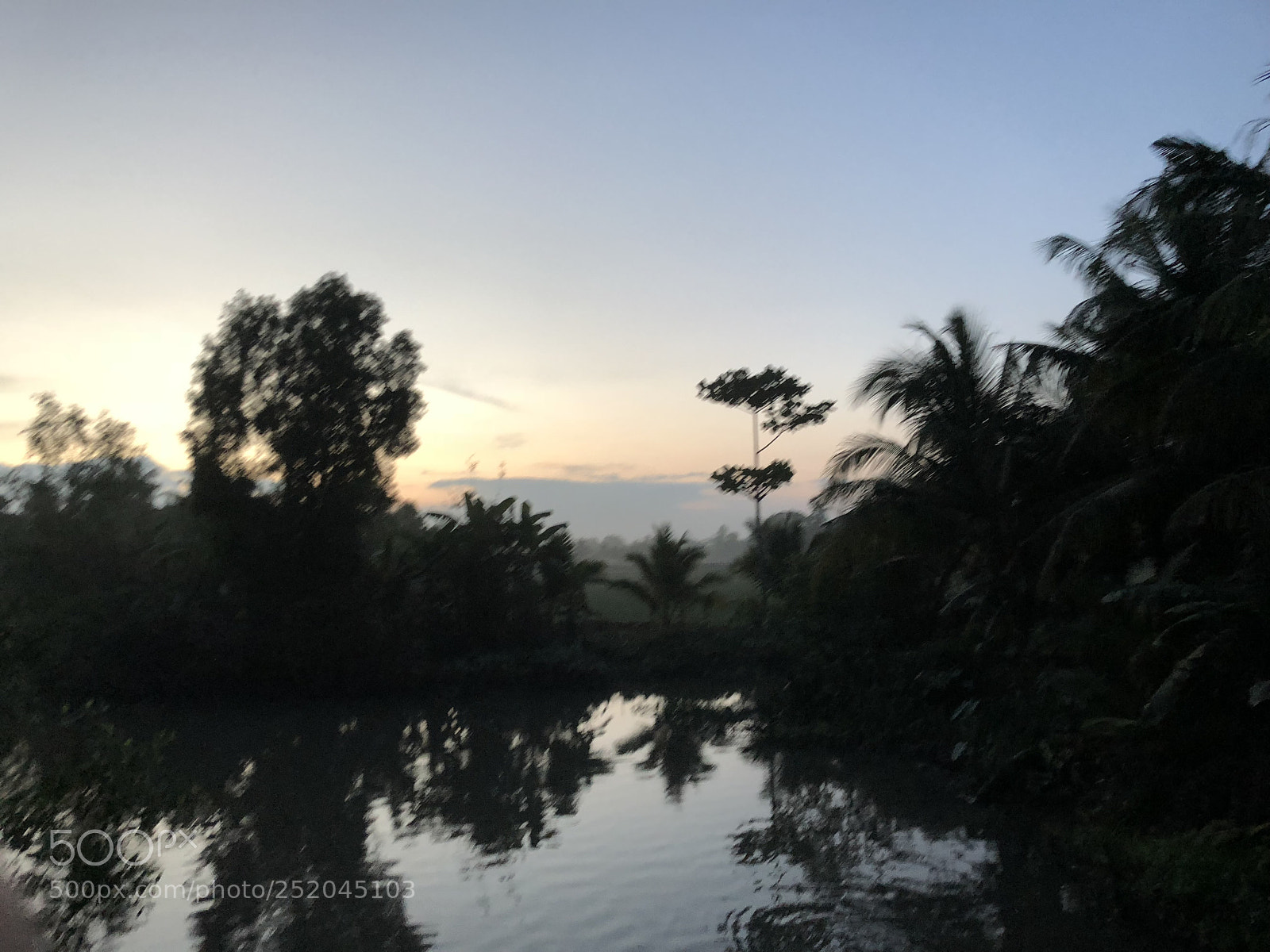 Apple iPhone X sample photo. Untitled photography