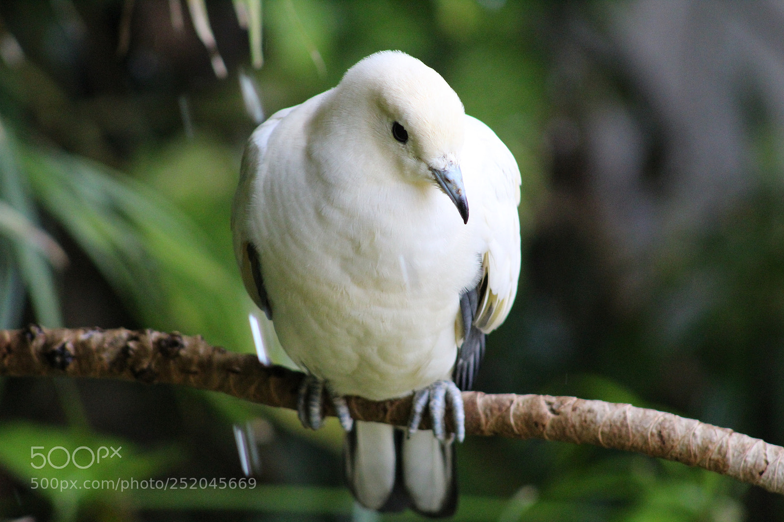 Canon EF 75-300mm f/4-5.6 sample photo. Untitled photography