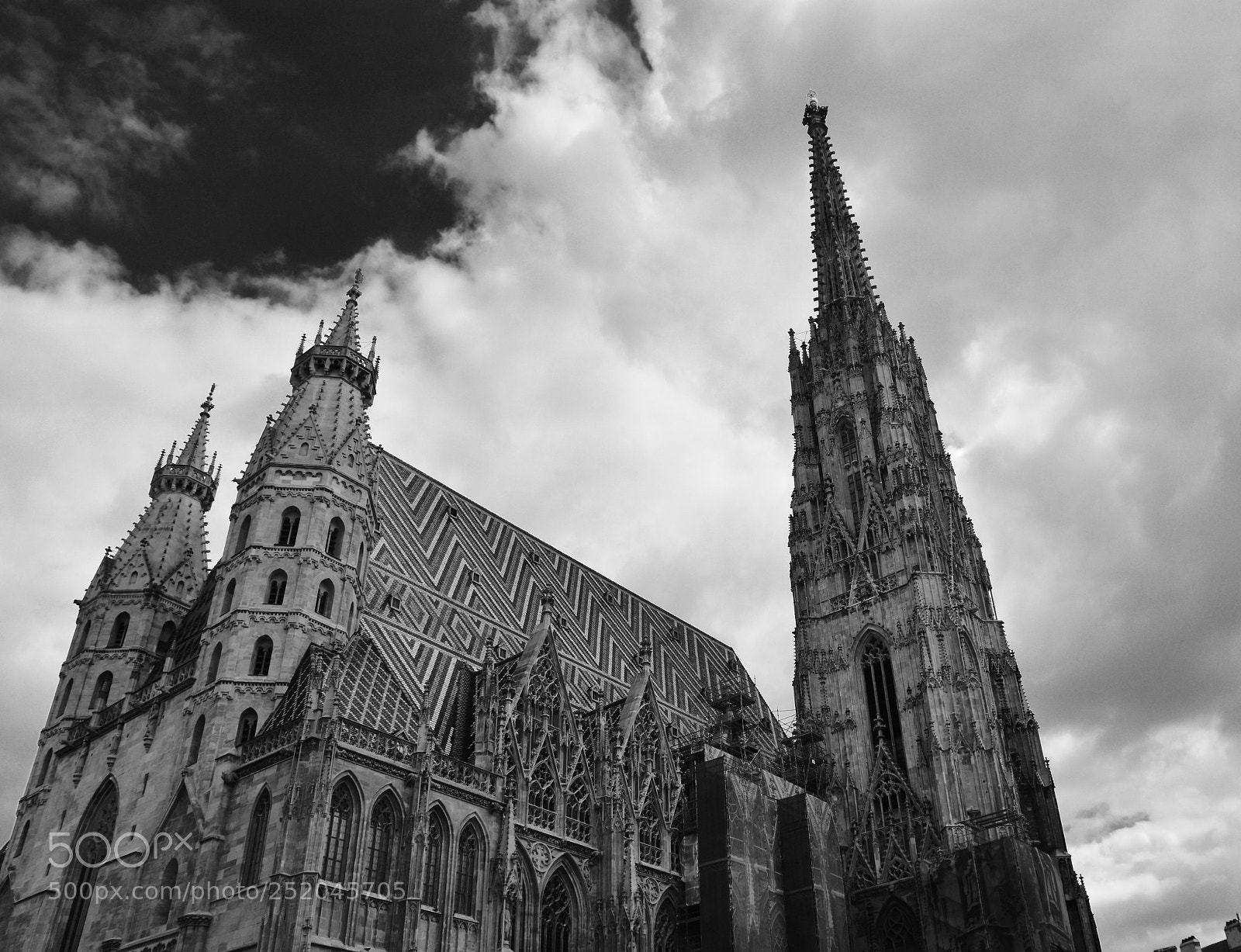 Nikon D7200 sample photo. Towering photography