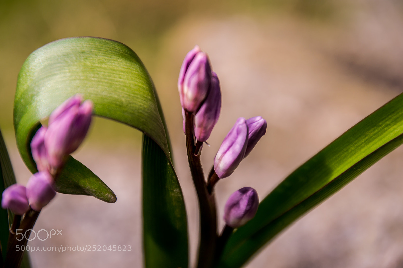 Nikon D3100 sample photo. Perfekt nature photography