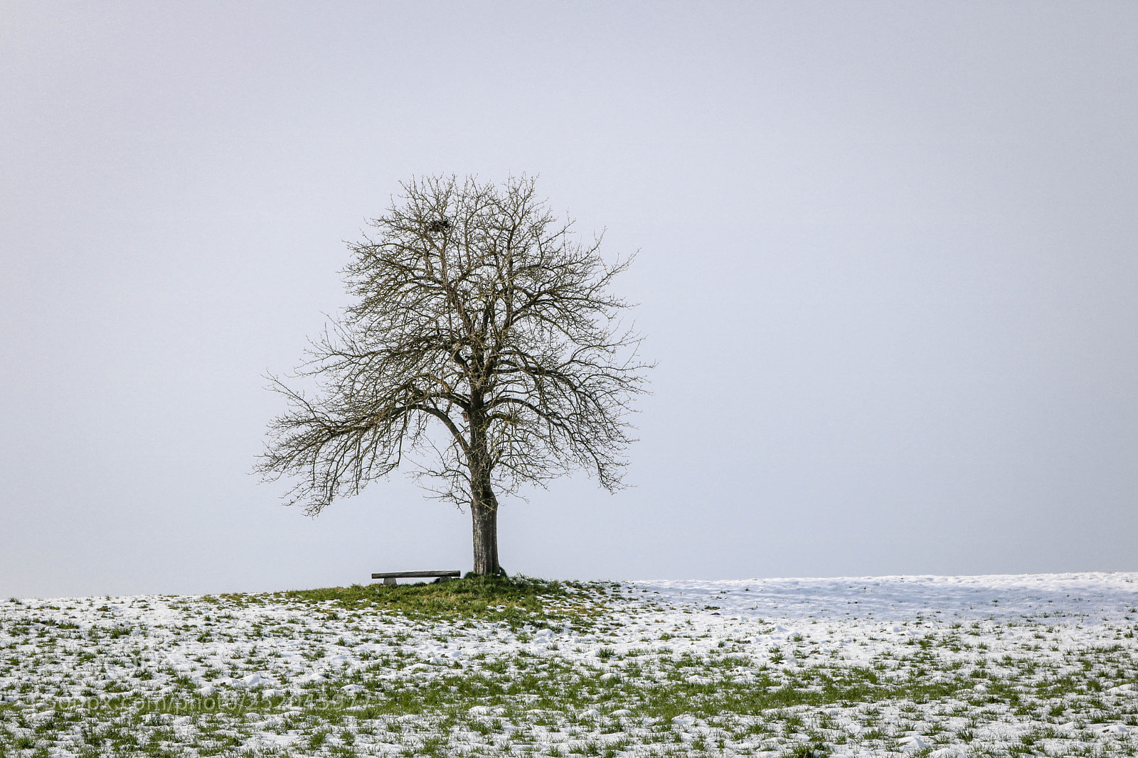 Canon EOS 750D (EOS Rebel T6i / EOS Kiss X8i) sample photo. Späte winterimpressionen... photography