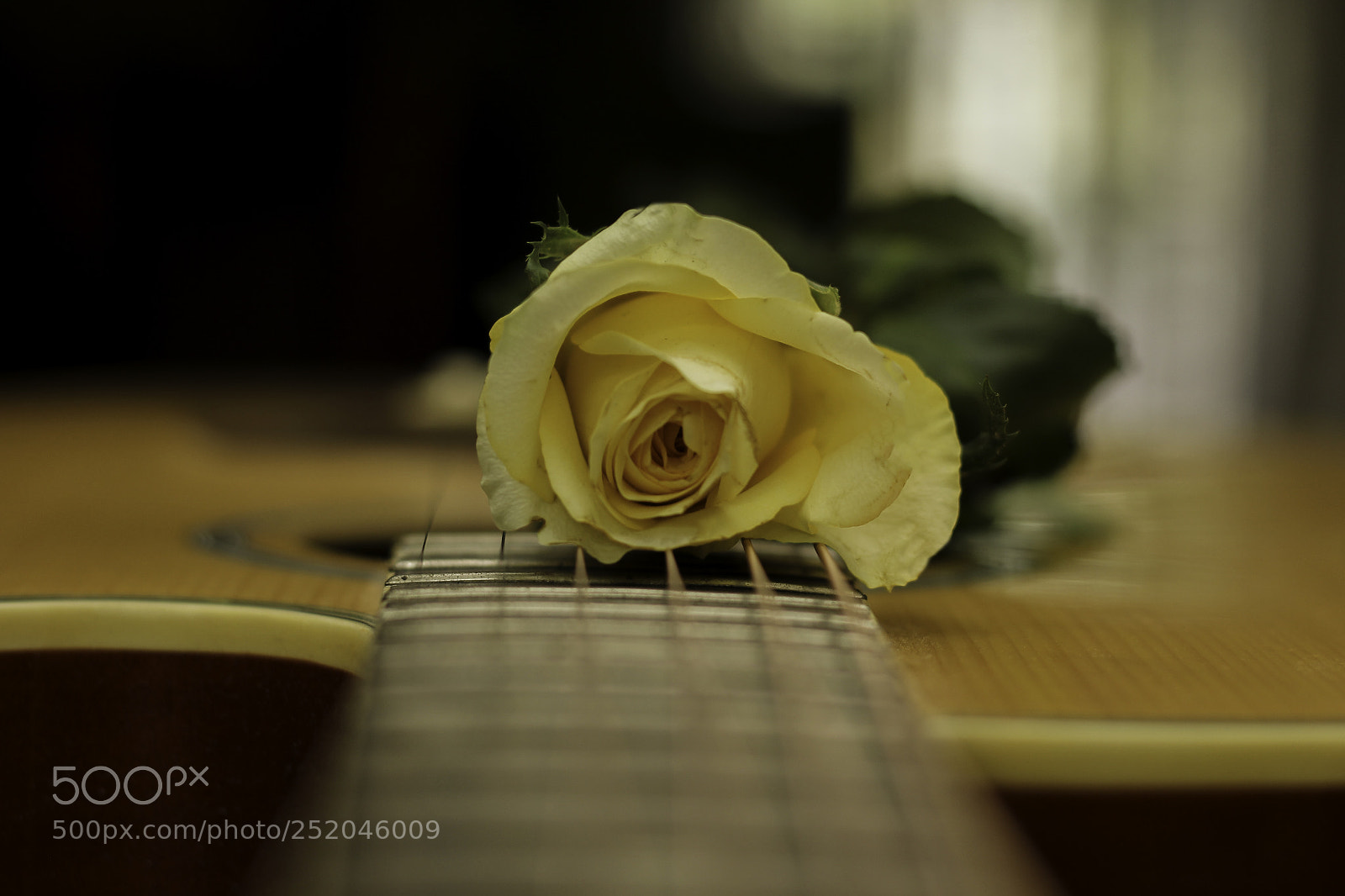 Canon EOS 60D sample photo. Music photography