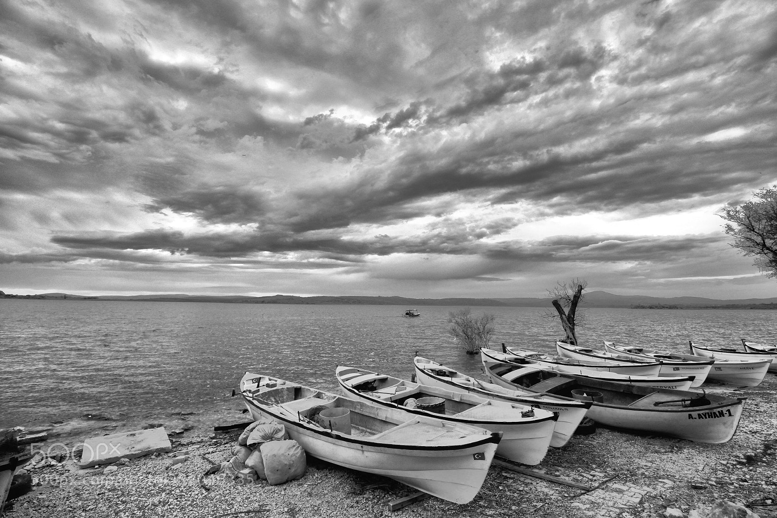 Canon EOS 500D (EOS Rebel T1i / EOS Kiss X3) sample photo. Black white photography