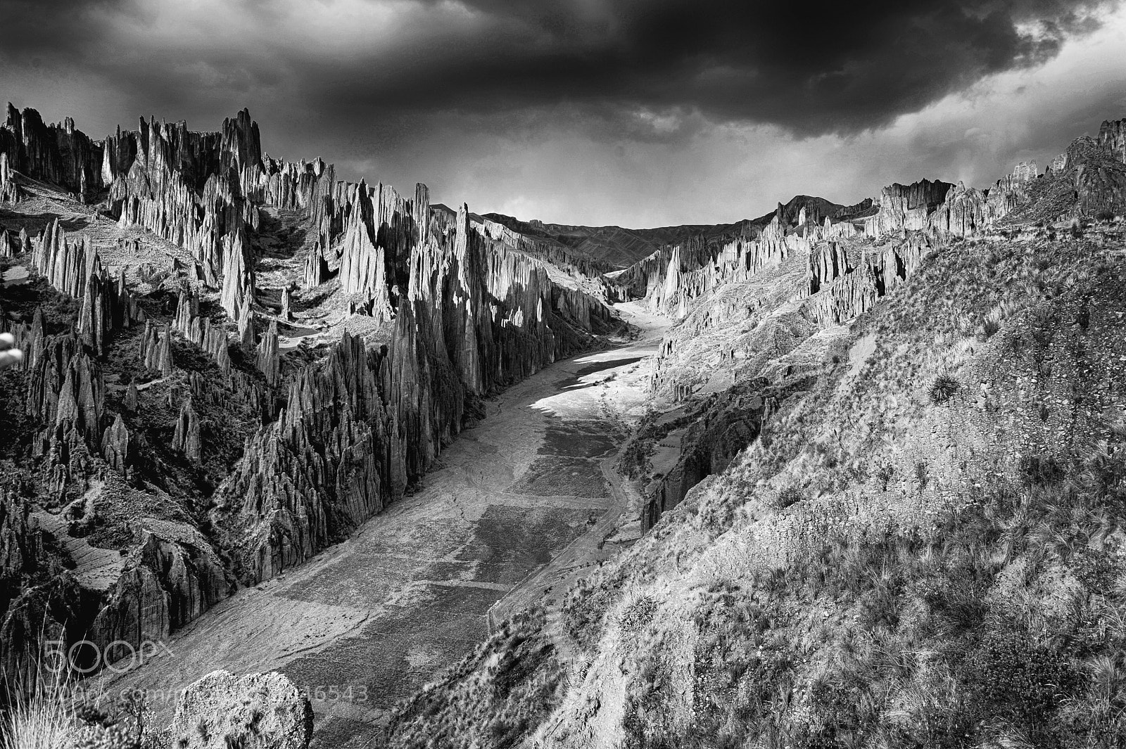 Nikon D700 sample photo. Bolivie vallee de la photography