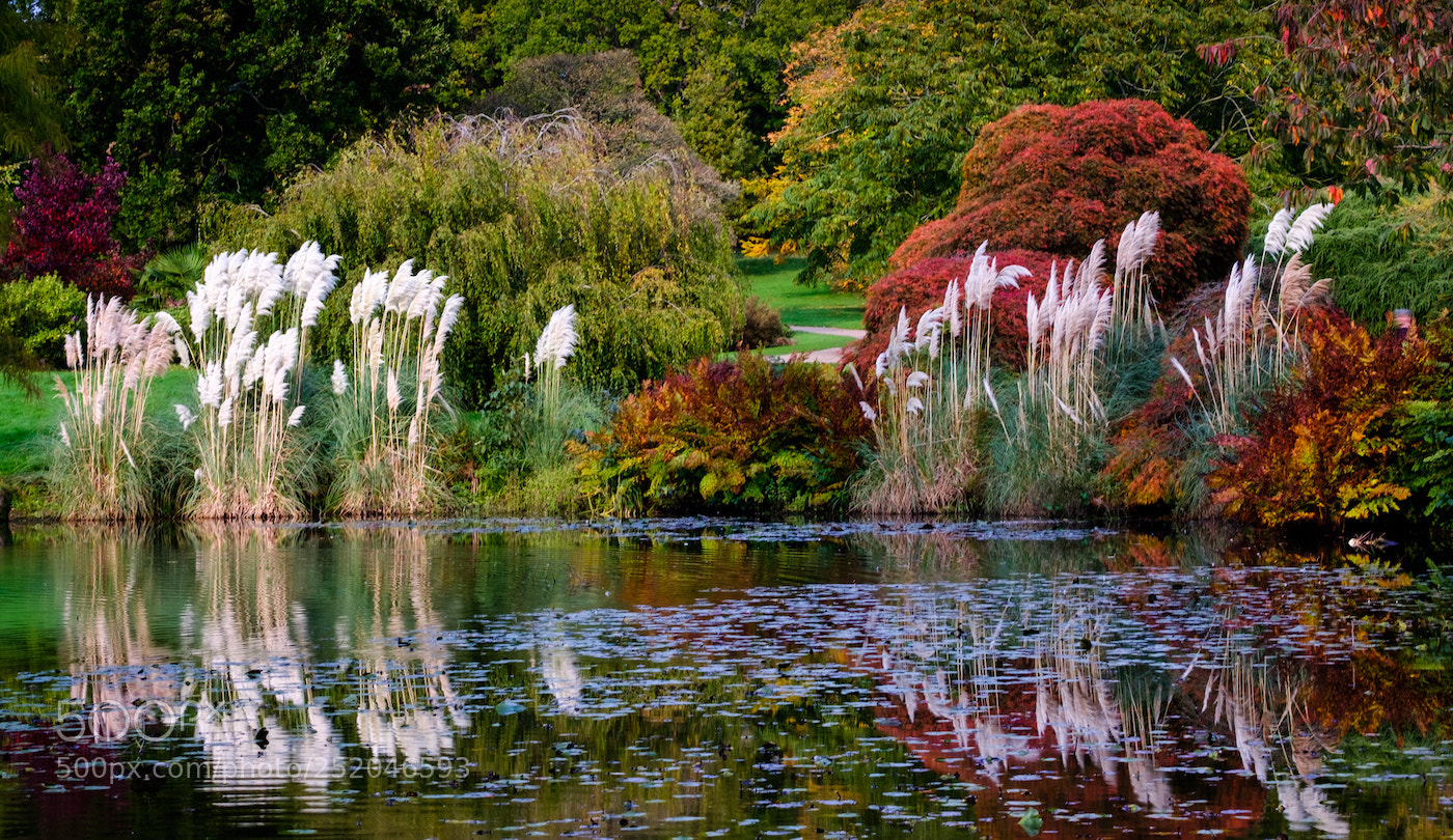 Fujifilm X-T2 sample photo. Serene autumn day by photography