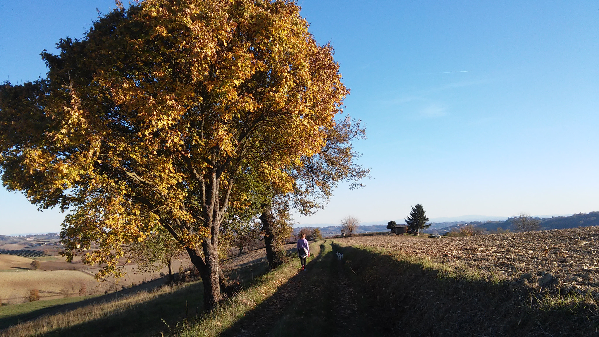 LG L90 sample photo. Walk in the countryside photography