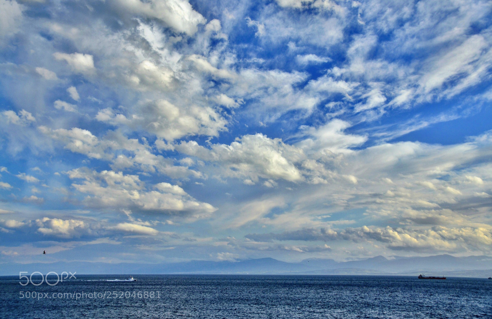 Nikon D7000 sample photo. Blue blue photography